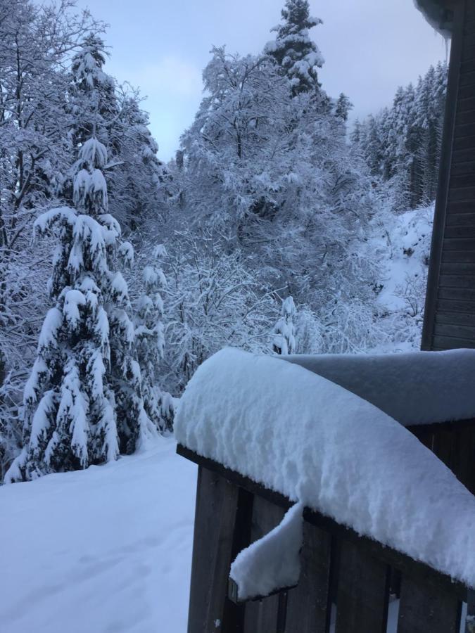 Hotel Restaurant La Fourmi Bourbach-le-Haut المظهر الخارجي الصورة