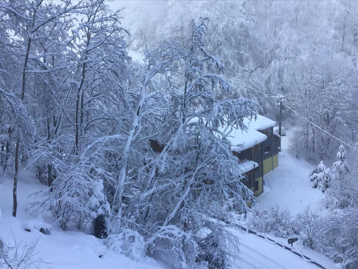 Hotel Restaurant La Fourmi Bourbach-le-Haut المظهر الخارجي الصورة